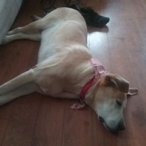 Meet your Posher, Kathleen